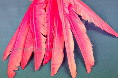 Декоративный Пучок из перьев, перо 25см/розовый - купить в Нефтекамске. Цена: 14.40 руб.