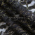 Кружевное полотно XD LACE 1-4, 80 гр/м2, шир.150см, цвет чёрный - купить в Нефтекамске. Цена 245.94 руб.