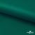 Ткань подкладочная Таффета, 19-5420, 53 г/м2, антистатик, шир. 150 см, вечнозеленый - купить в Нефтекамске. Цена 57.16 руб.