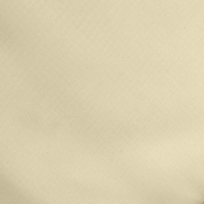 Ткань подкладочная Таффета 14-1014, антист., 53 гр/м2, шир.150см, цвет бежевый - купить в Нефтекамске. Цена 62.37 руб.