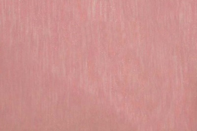 Органза однотонная "Амелия" С19 (Розовый) 280 см - купить в Нефтекамске. Цена 303.09 руб.