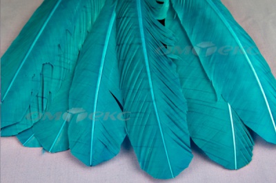 Декоративный Пучок из перьев, перо 24см/голубой - купить в Нефтекамске. Цена: 12.19 руб.