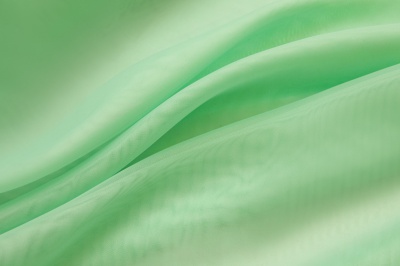 Портьерный капрон 13-6009, 47 гр/м2, шир.300см, цвет св.зелёный - купить в Нефтекамске. Цена 143.68 руб.