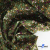 Ткань костюмная «Микровельвет велюровый принт», 220 г/м2, 97% полиэстр, 3% спандекс, ш. 150См Цв  #9 - купить в Нефтекамске. Цена 439.76 руб.