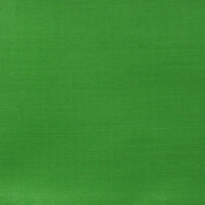 Ткань подкладочная Таффета 17-6153, 48 гр/м2, шир.150см, цвет трава - купить в Нефтекамске. Цена 54.64 руб.