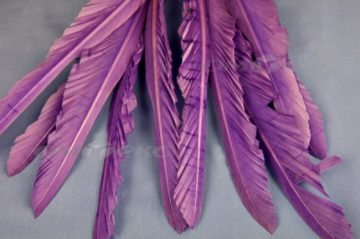 Декоративный Пучок из перьев, перо 25см/фиолетовый - купить в Нефтекамске. Цена: 12.19 руб.