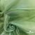 Ткань органза, 100% полиэстр, 28г/м2, шир. 150 см, цв. #27 зеленый - купить в Нефтекамске. Цена 86.24 руб.