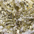 Трикотажное полотно, Сетка с пайетками, шир.130 см, #315, цв.-белый/золото - купить в Нефтекамске. Цена 693.39 руб.
